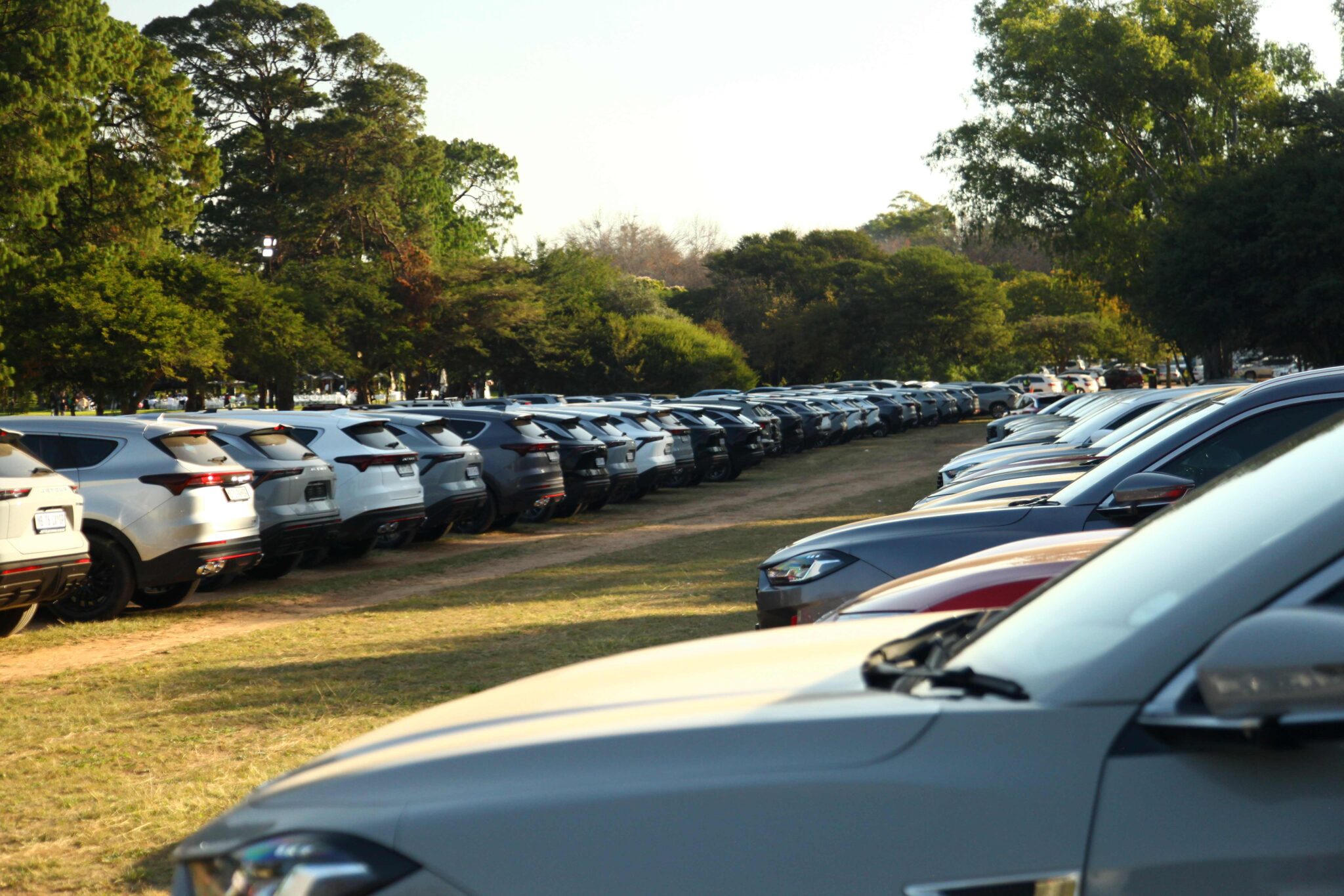 Jetours lined up at the 2025 Jetour Festival